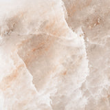 Himalayan