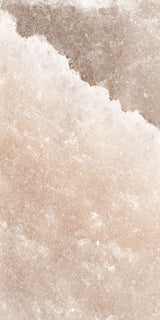 Himalayan