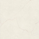 Roman Ivory