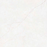 Roman Ivory