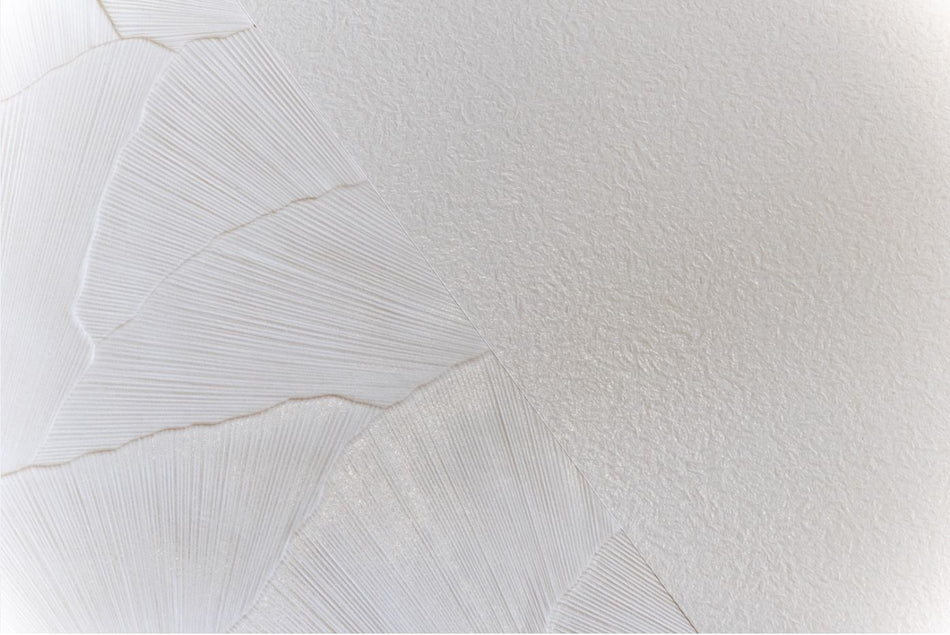 Seashell
